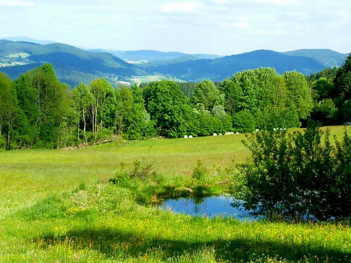 Berggasthof Schoen Patersdorf Extérieur photo